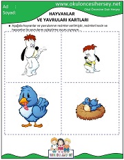 Hayvanlar ve Yavruları Eğitici Kartları